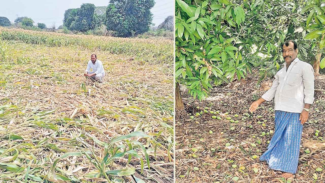 అకాల వర్షం.. అన్నదాత ఆగమాగం