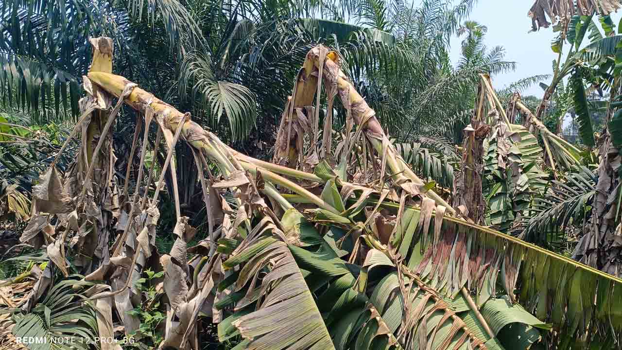 నష్టాల వాన..