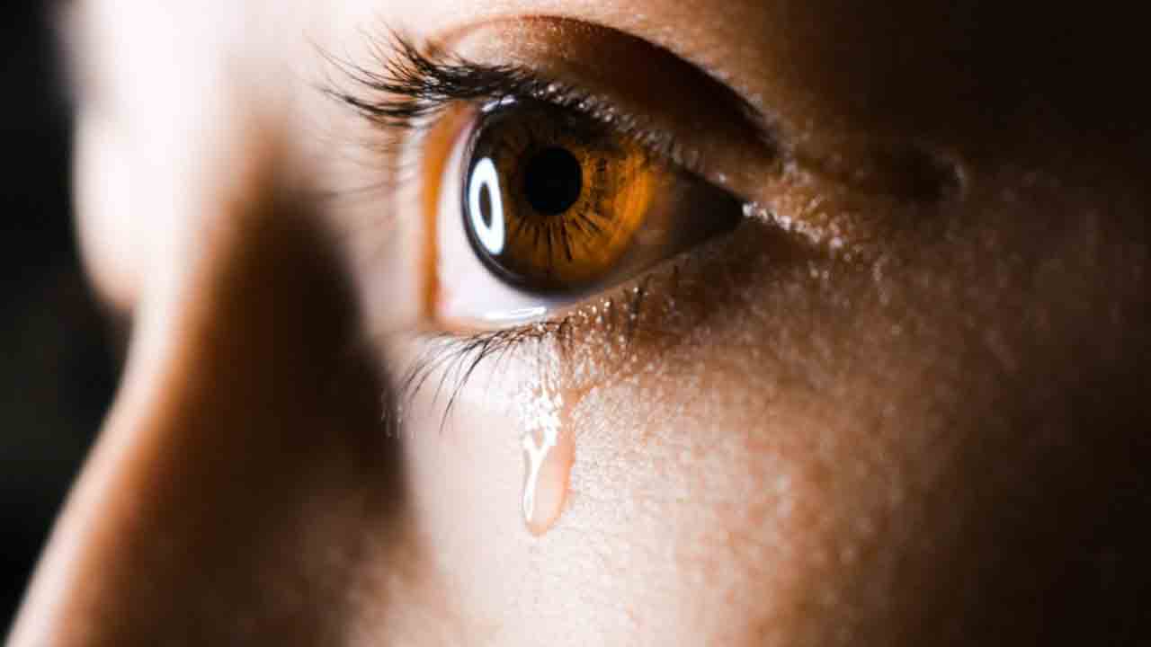 గుండె నిండా ఏడ్వండి.. జపాన్‌ సూత్రం రూయికాట్సు!