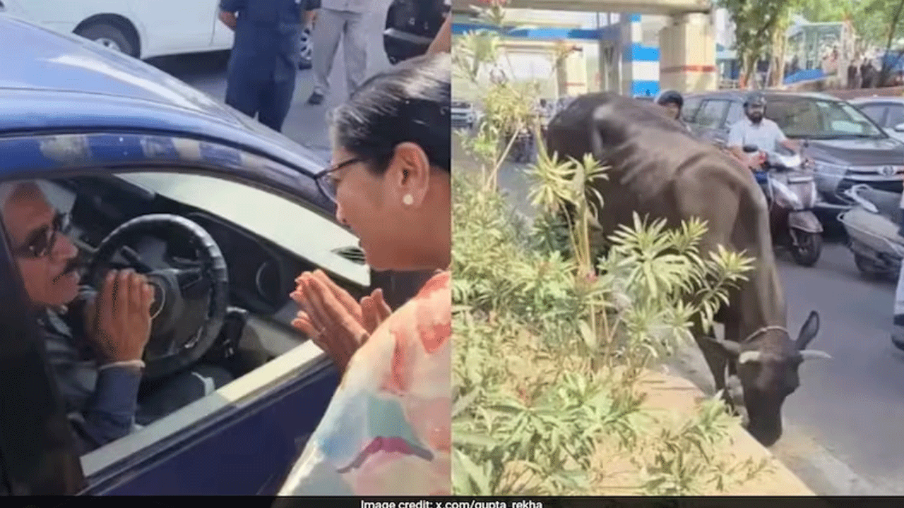 Delhi CM: రోడ్డు మీద ఆవు కోసం రొట్టెలు విసిరేసిన వ్య‌క్తి.. ఢిల్లీ సీఎం ఏం చేశారంటే..  వీడియో