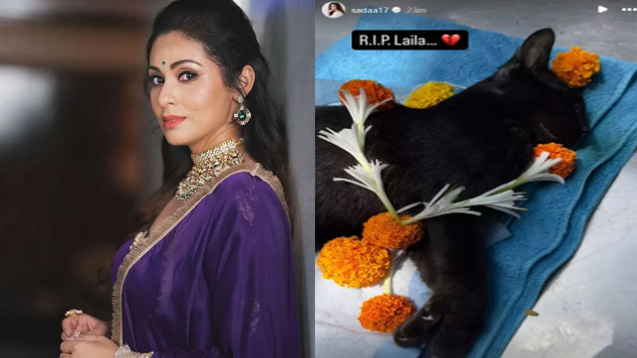 Sadha | హార్ట్ బ్రేకింగ్ పోస్ట్ పెట్టిన స‌దా.. ఓదారుస్తున్న నెటిజన్స్