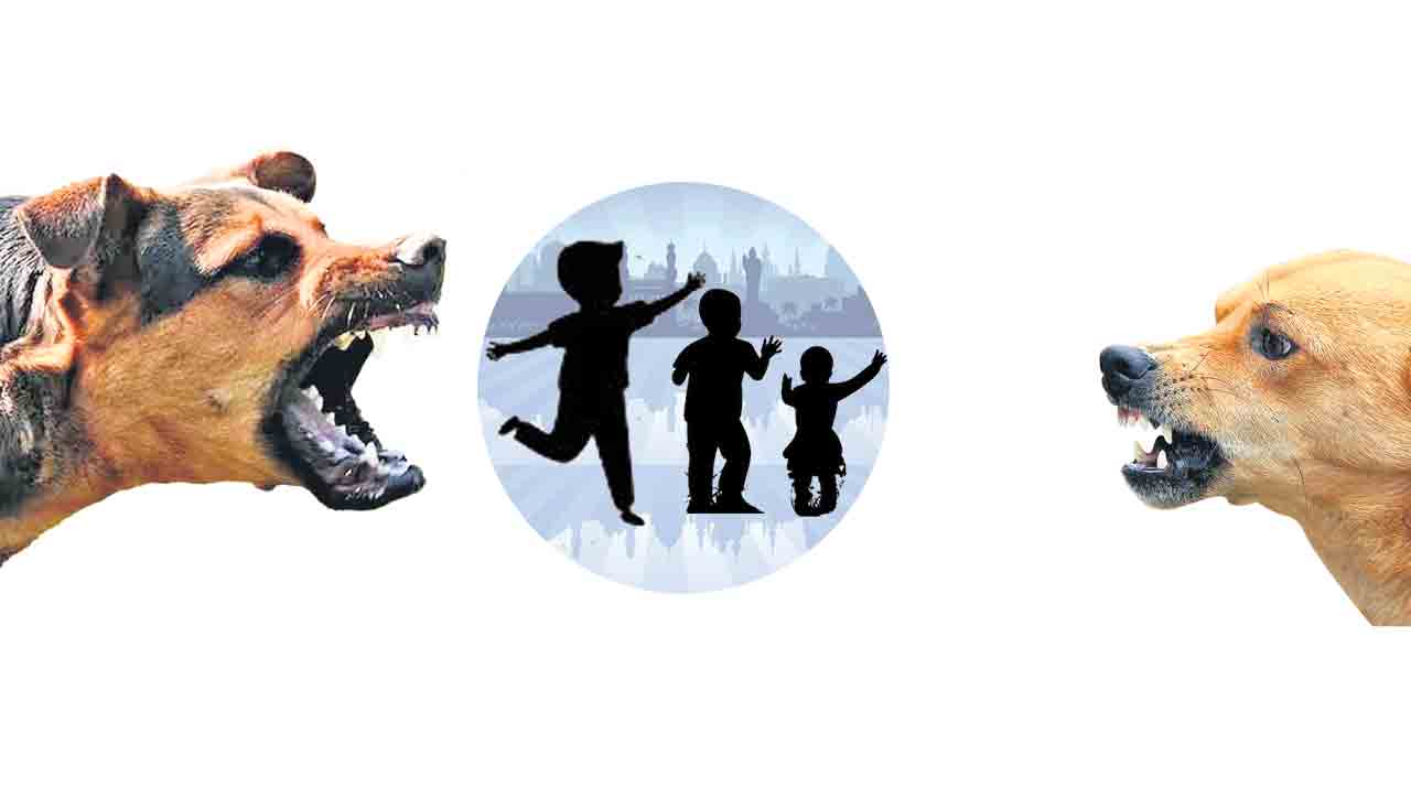 కుక్కలు.. భౌబోయ్‌!