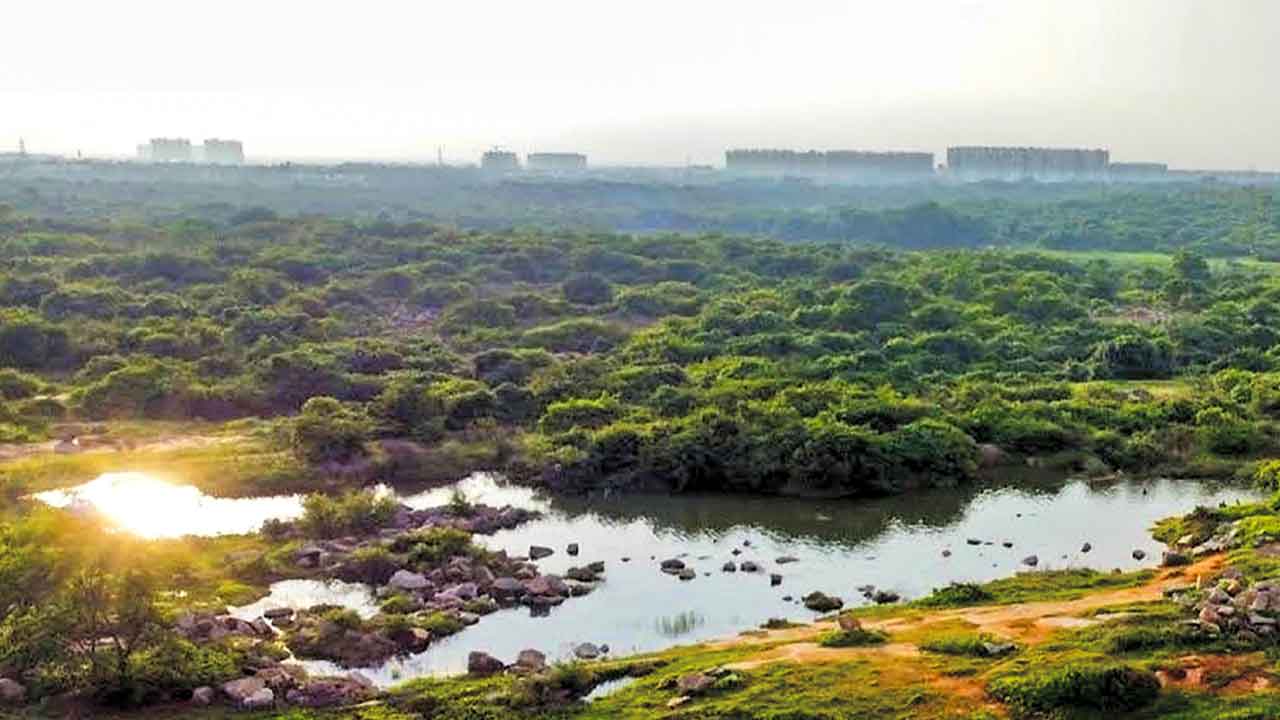 HCU | జంగల్.. దంగల్.. ఇది అడవి కాదన్నవాడు మూర్ఖుడే!
