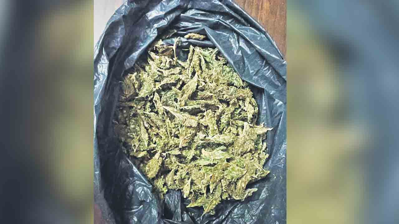 ఎండు గంజాయి తరలిస్తున్న ఇద్దరికి రిమాండ్‌