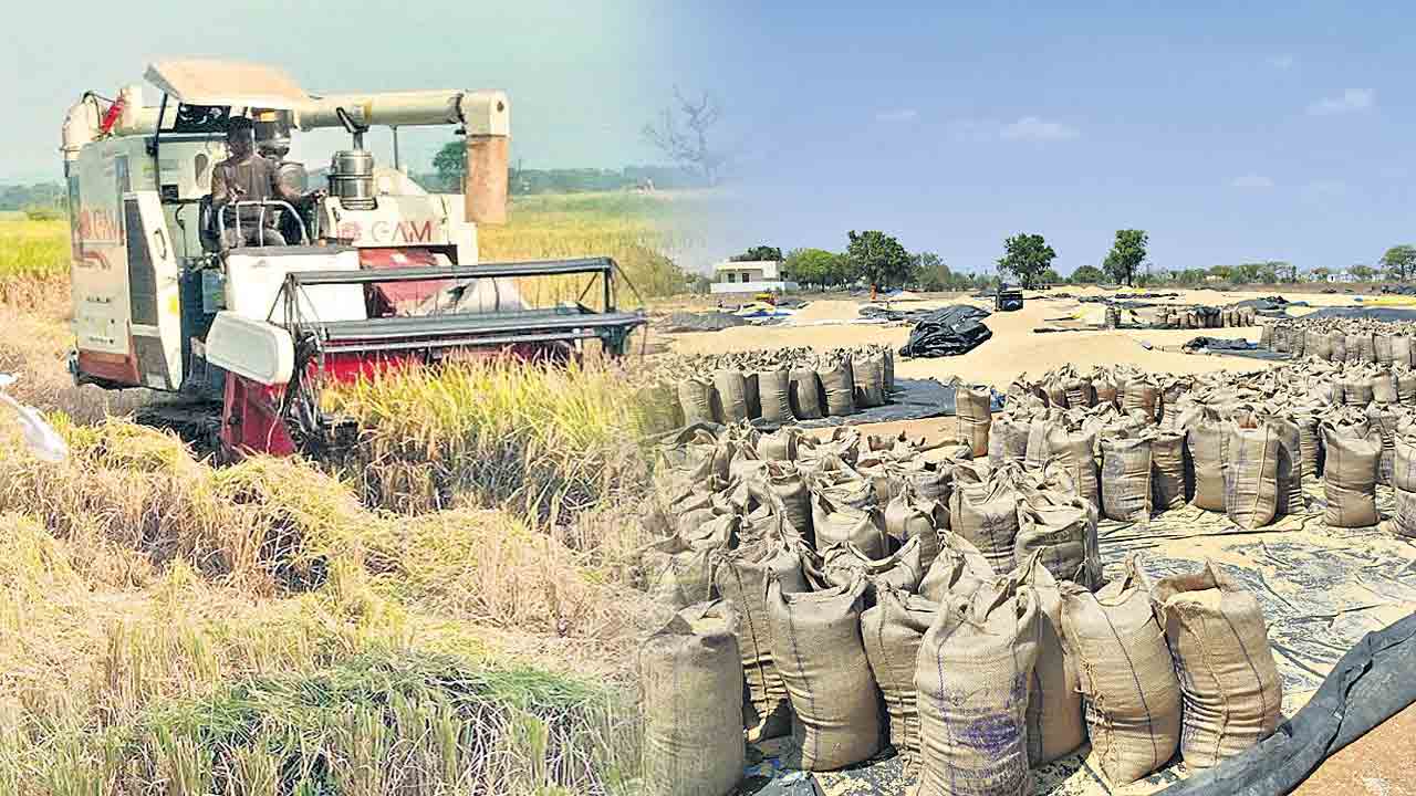 ధాన్యం..దైన్యం సిద్దిపేట జిల్లాలో ధాన్యం కొనుగోళ్లు షురూ..