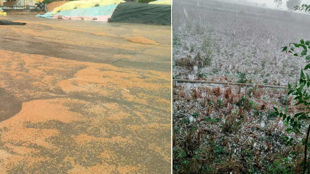 వడగండ్ల బీభత్సం