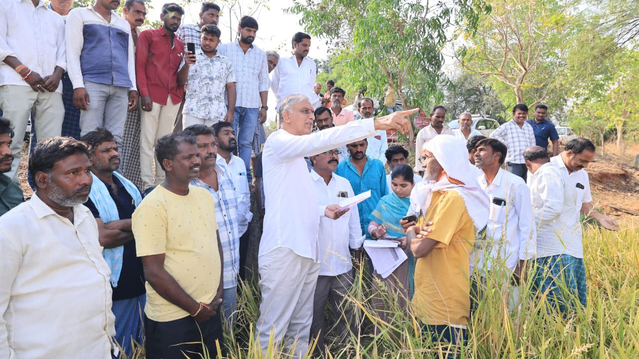 Harish Rao | పంట నష్టపోయిన రైతులకు వెంటనే ఇన్‌పుట్ సబ్సిడీ ఇవ్వాలి: హరీశ్‌ రావు