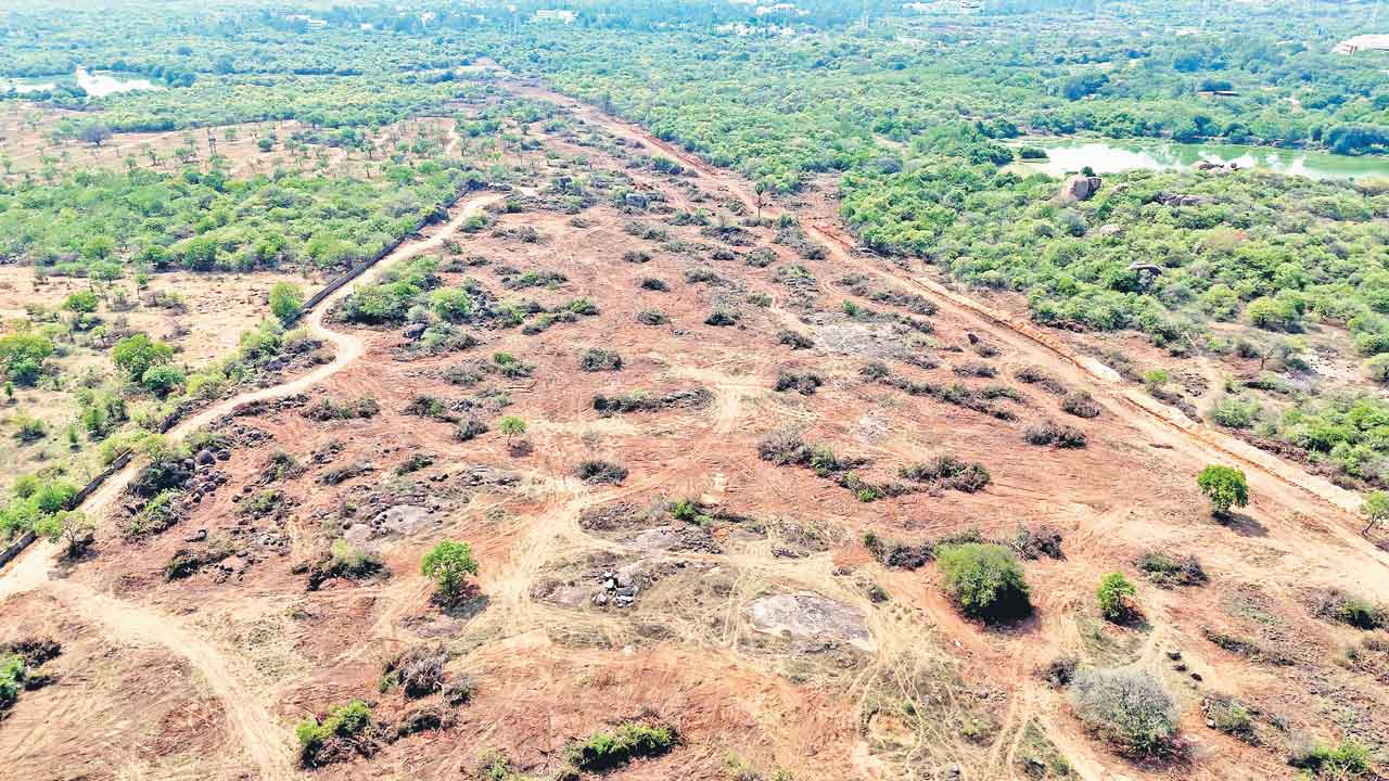 Congress Govt | అబద్ధమే సిగ్గుపడేలా!.. హెచ్‌సీయూ భూముల్లో ఎకో పార్కు కోసమేనంటూ కొత్త డ్రామా!