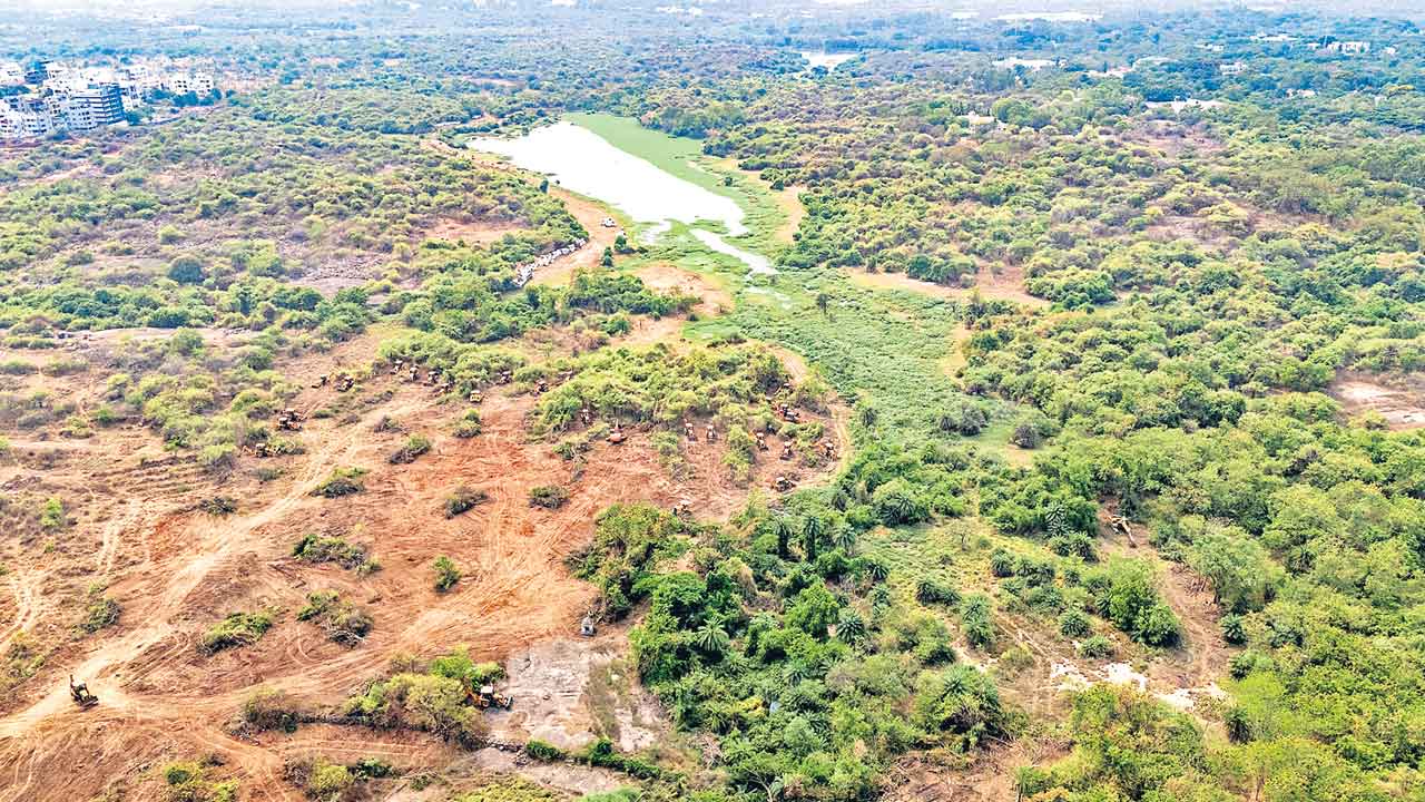 HCU | శత్రువులపై యుద్ధానికి వెళ్లినట్లే..! హెచ్‌సీయూ భూములపైకి దండెత్తిన బుల్డోజర్లు..