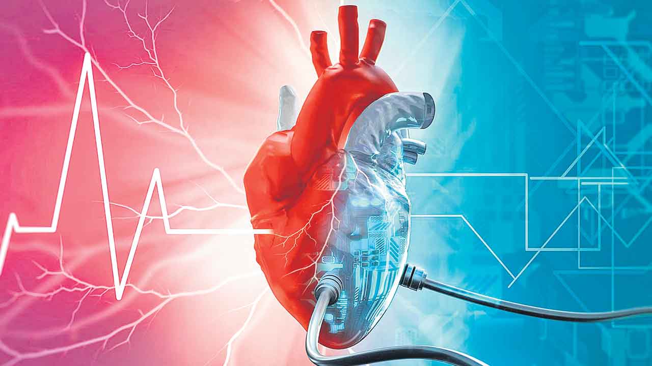 Heart