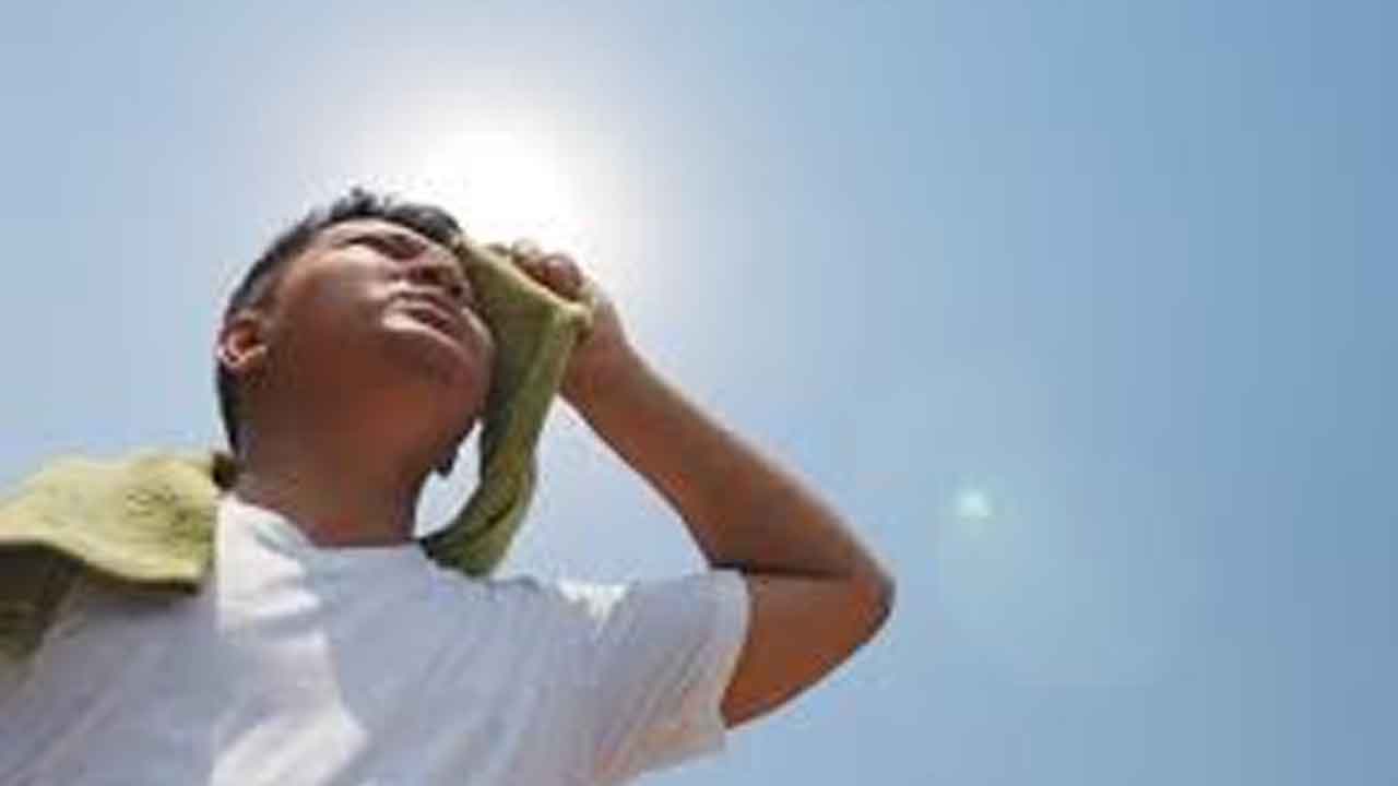 వడదెబ్బతో ఐదుగురి మృతి