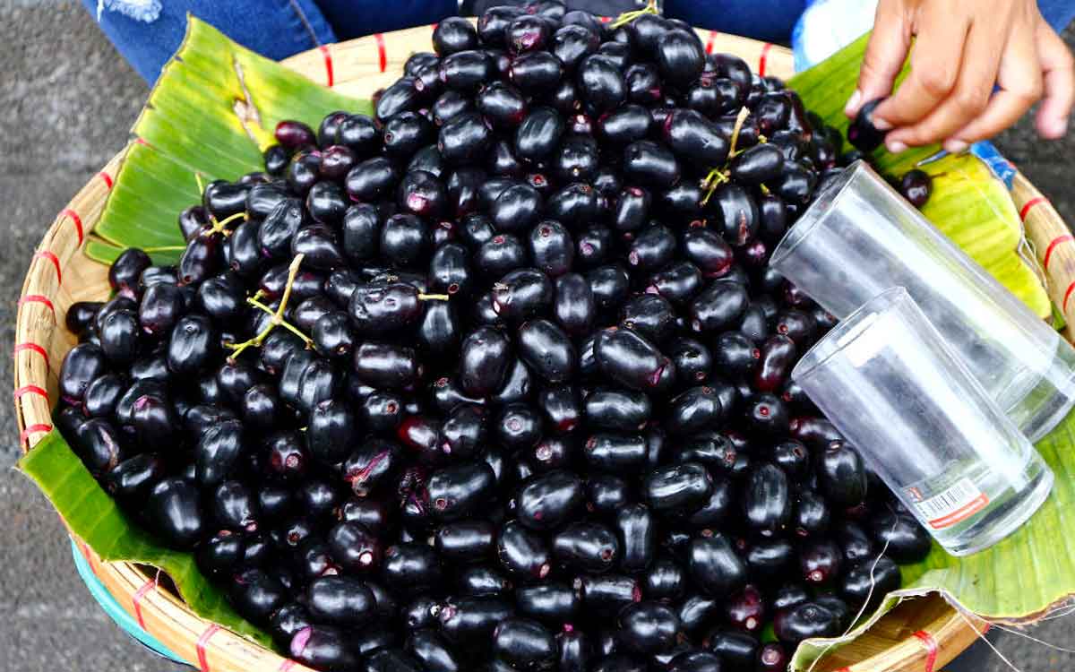 Jamun Fruit | నేరేడు పండ్ల‌ను విడిచిపెట్ట‌కుండా తినండి.. ఎన్ని లాబాలో తెలిస్తే ఇప్పుడే తింటారు..