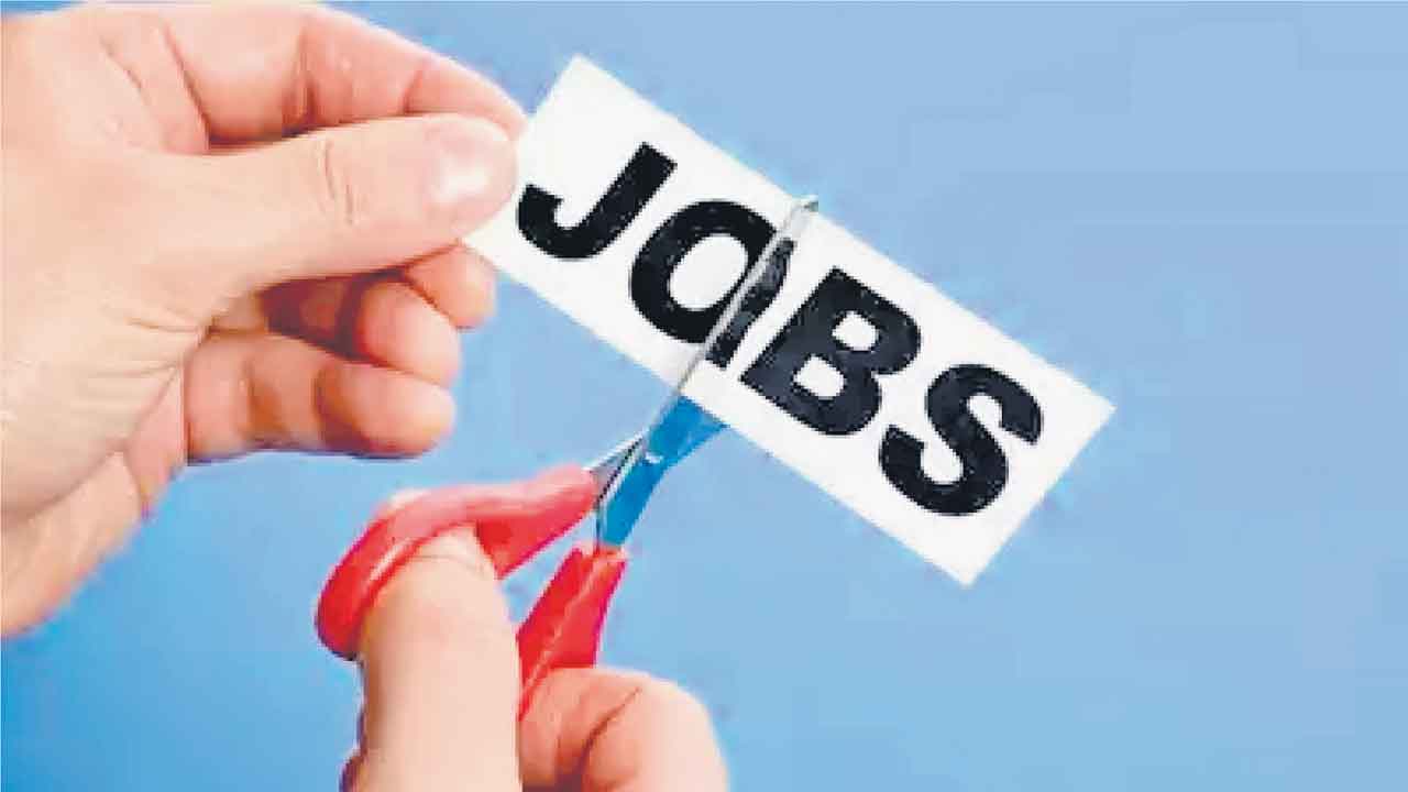 612 అసిస్టెంట్‌ ప్రొఫెసర్ల భర్తీకి నోటిఫికేషన్‌!