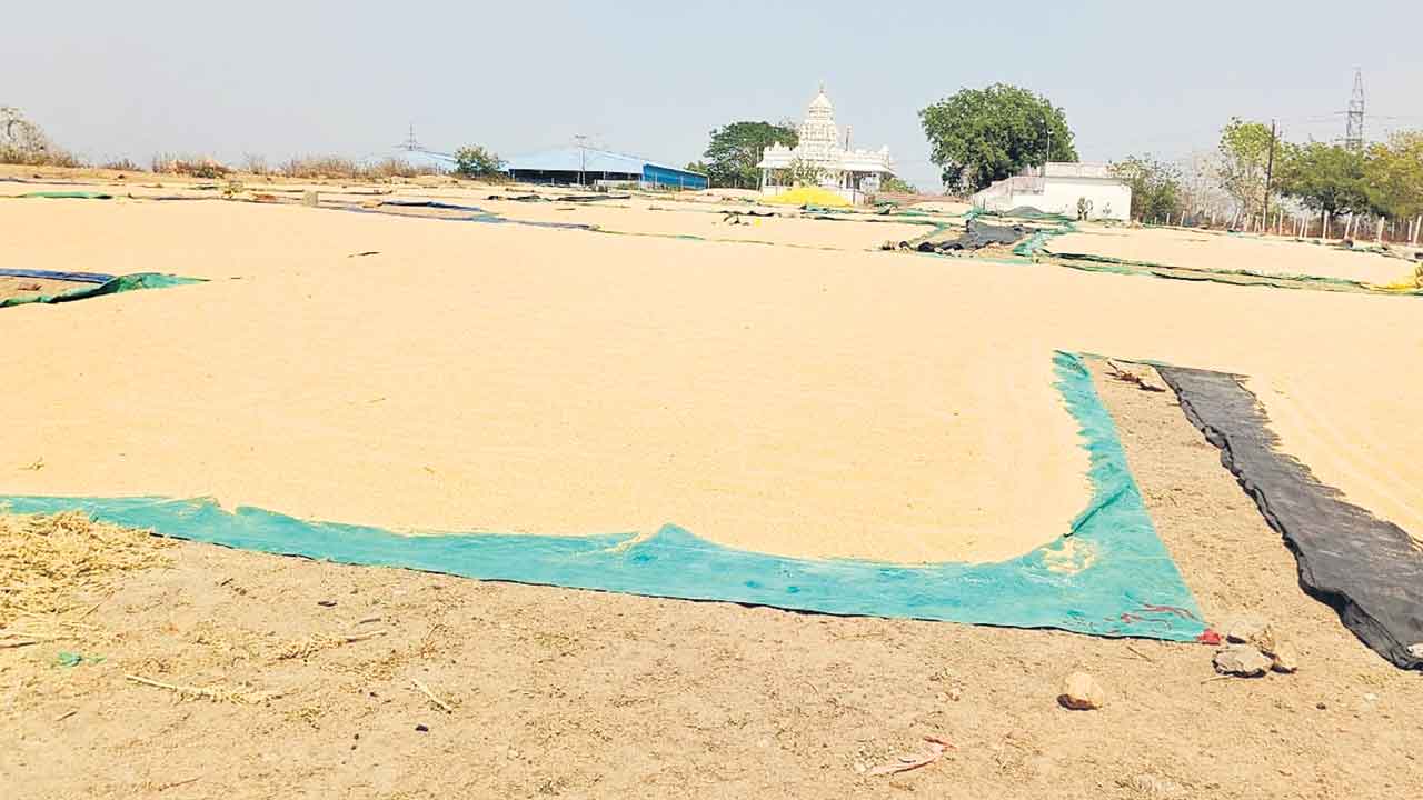 జొన్నలు కొనేవారేరీ?