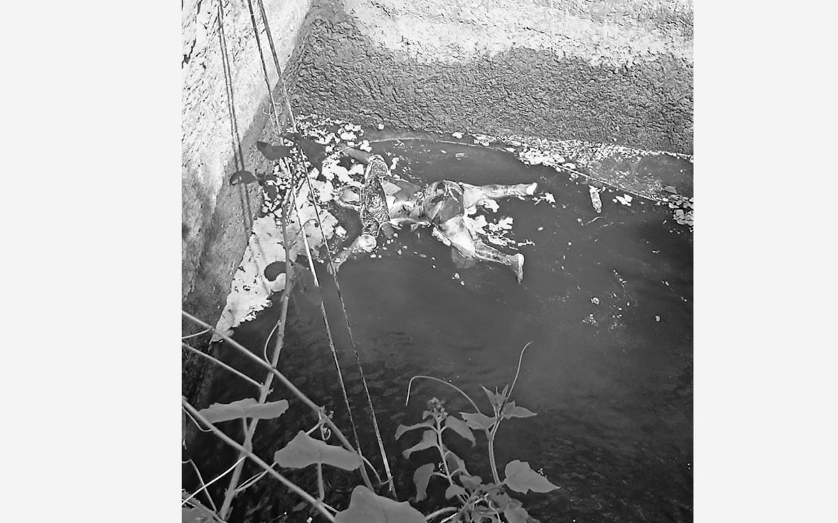 Kattangur : వ్యవసాయ బావిలో పడి మానసిక దివ్యాంగుడి మృతి