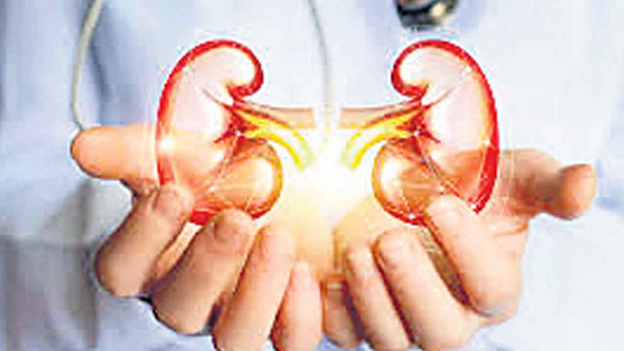 కిడ్నీ కేసు .. శ్రీలంకకు లింక్..!