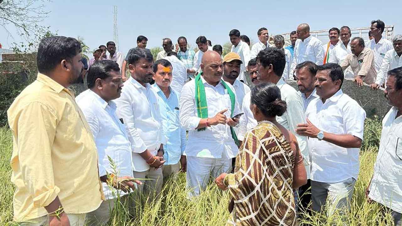 వడగండ్లతో దెబ్బతిన్న పంటలను పరిశీలించిన కొమ్మూరి ప్రతాప్‌ రెడ్డి