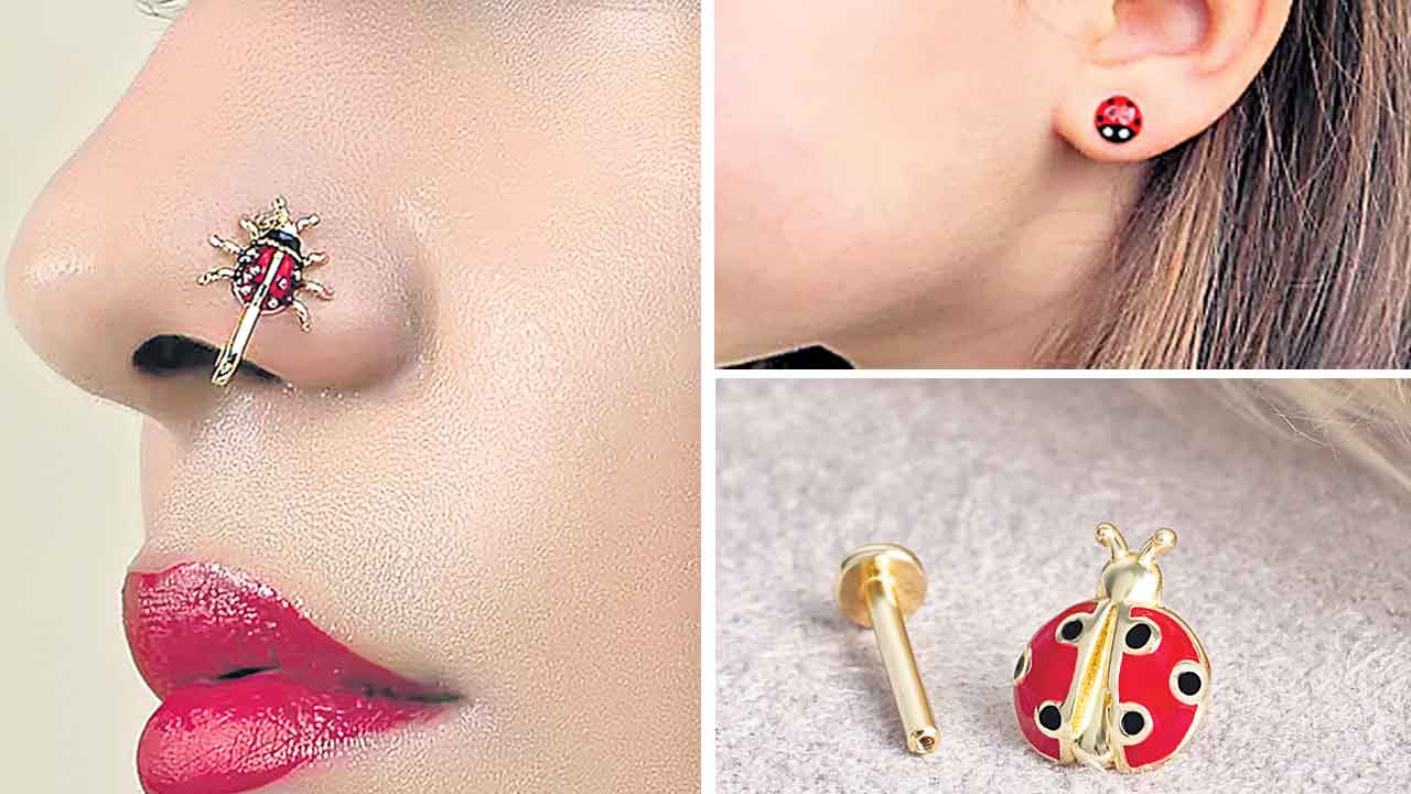 ముక్కుకు లేడీబగ్‌