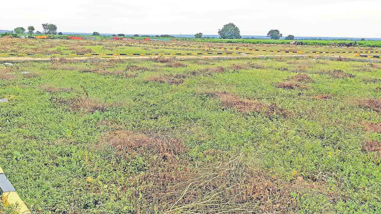 హద్దుల నిర్ధారణ ఎప్పుడో..
