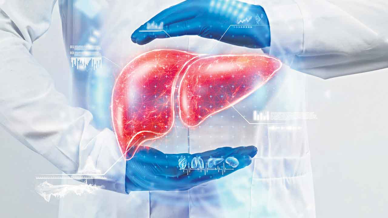 Liver 2
