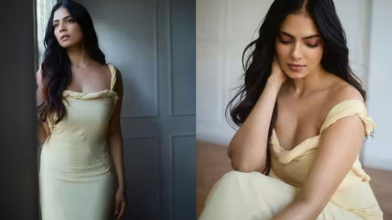 Malavika Mohanan | లోక‌ల్ ట్రైన్‌లో ఆ హీరోయిన్‌కి చేదు అనుభ‌వం.. ఏకంగా ముద్దే అడిగేశాడుగా..!