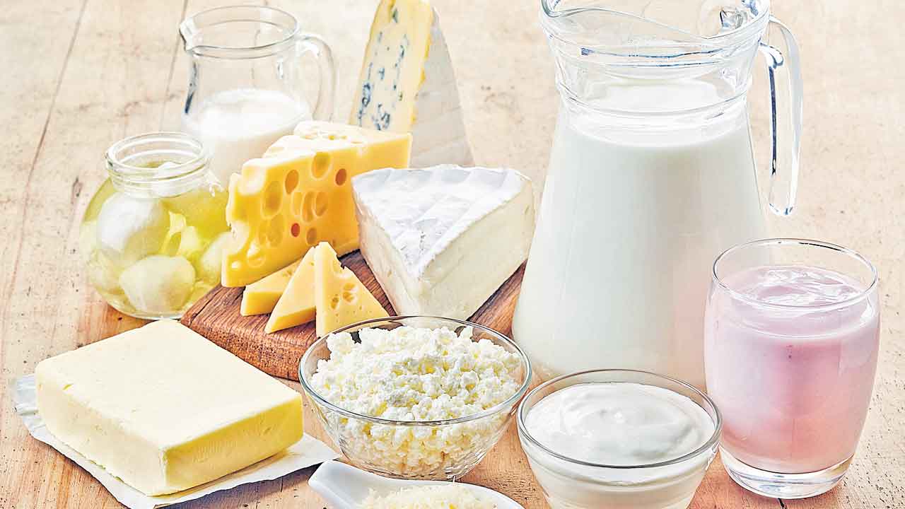 Milk Products