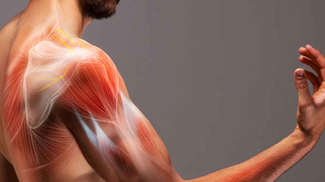 Diabetes | మీ కండరాలు బలంగా ఉన్నాయా.. అయితే మధుమేహం ముప్పు తప్పినట్టే!