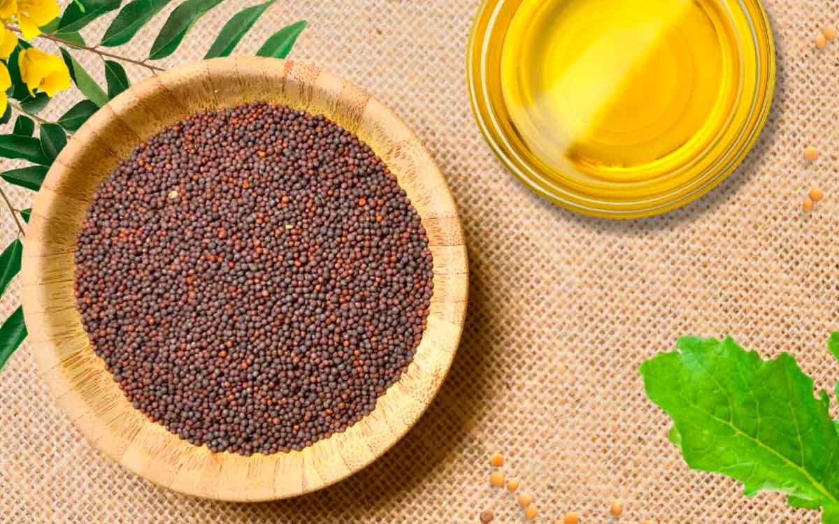 Mustard | ఆవాల‌లో దాగి ఉన్న ఆరోగ్య ప్ర‌యోజ‌నాలు తెలిస్తే ఆశ్చర్య‌పోతారు..!