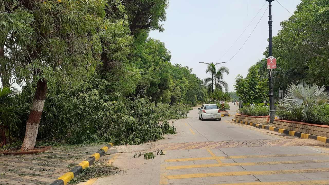 GHMC | 24 గంటలు గడిచినా రోడ్లపైనే కూలిన చెట్లు.. పట్టించుకోని జీహెచ్‌ఎంసీ సిబ్బంది