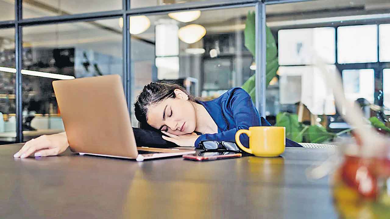 నైట్‌షిఫ్ట్‌.. టెర్రర్‌!