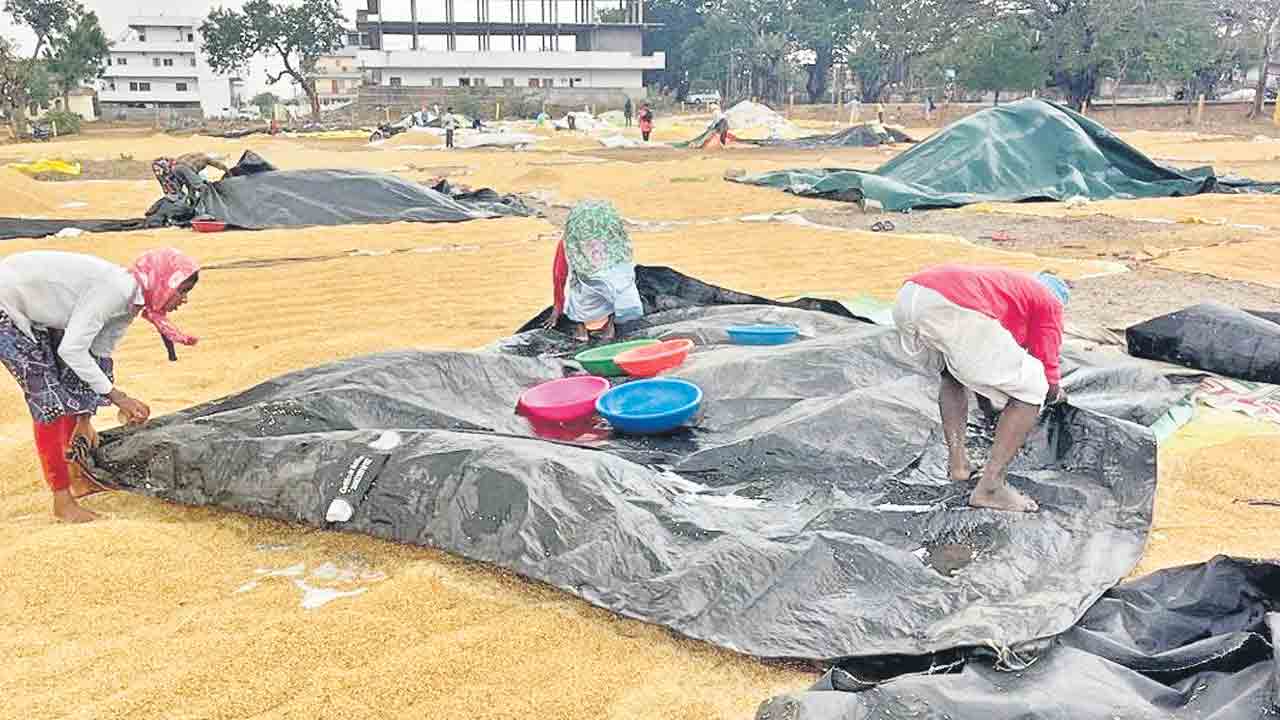 దంచి కొట్టిన వాన