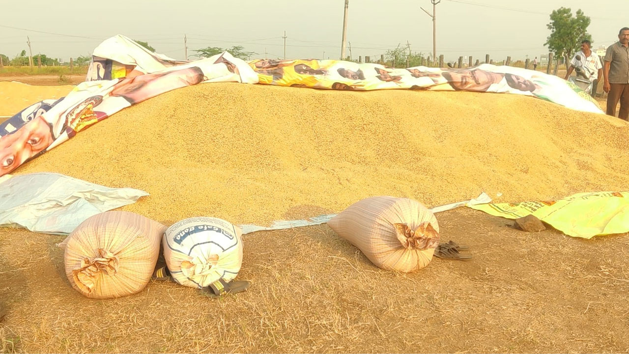 Karimnagar | ధాన్యం దోపిడి.. కల్లంలో ఆరబోసిన వడ్లను ఎత్తుకెళ్లిన దుండగులు