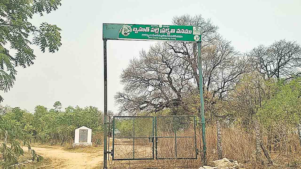 నాడు పచ్చదనం.. నేడు కళావిహీనం