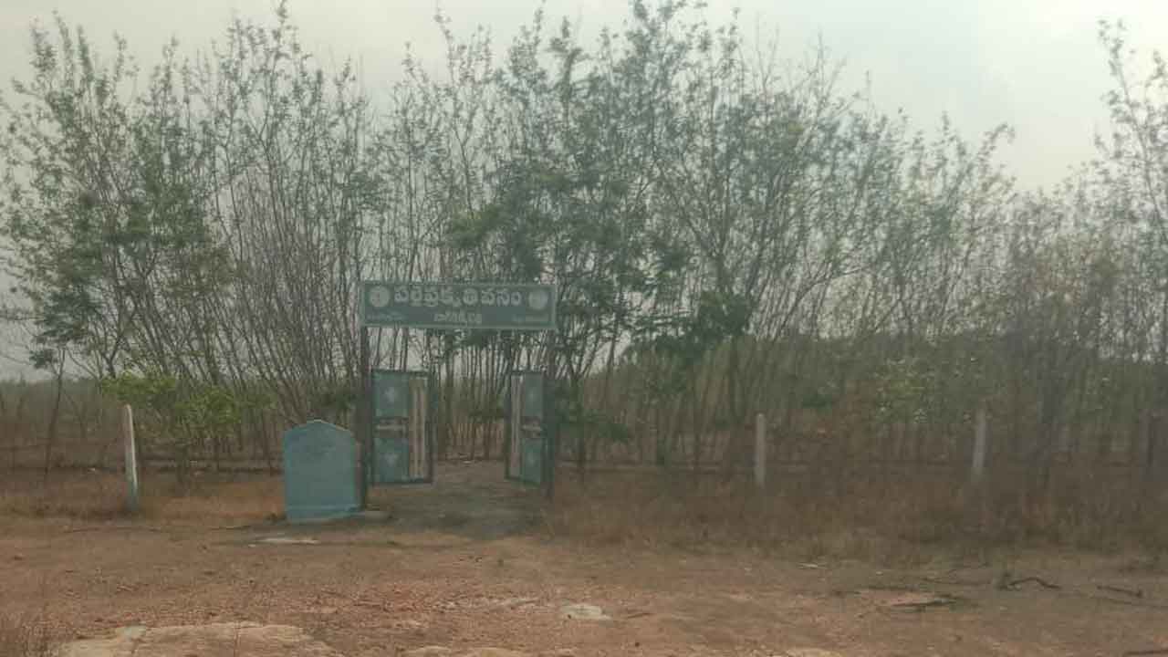 Palle prakruthi vanalu | సంరక్షణ కరువై ఎండిపోతున్న పల్లెప్రకృతి వనాలు