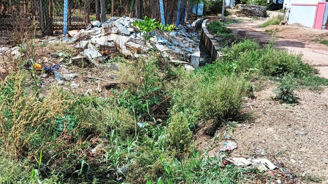 Tanduru | పర్వతాపూర్‌లో ప‌డ‌కేసిన పారిశుద్ధ్యం.. పట్టించుకోని అధికారులు