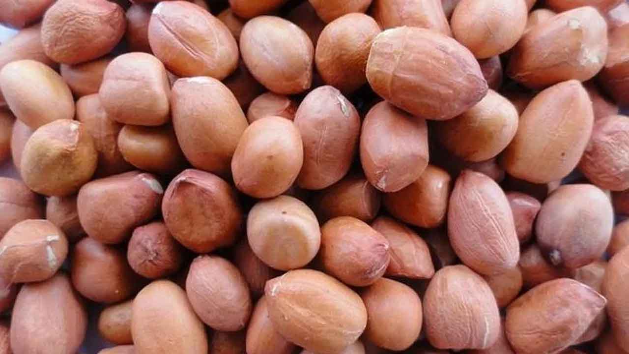 Peanut | గొంతులో ఇరుక్కుని ఊపిరాడక.. చిన్నారి ప్రాణం తీసిన పల్లిగింజ