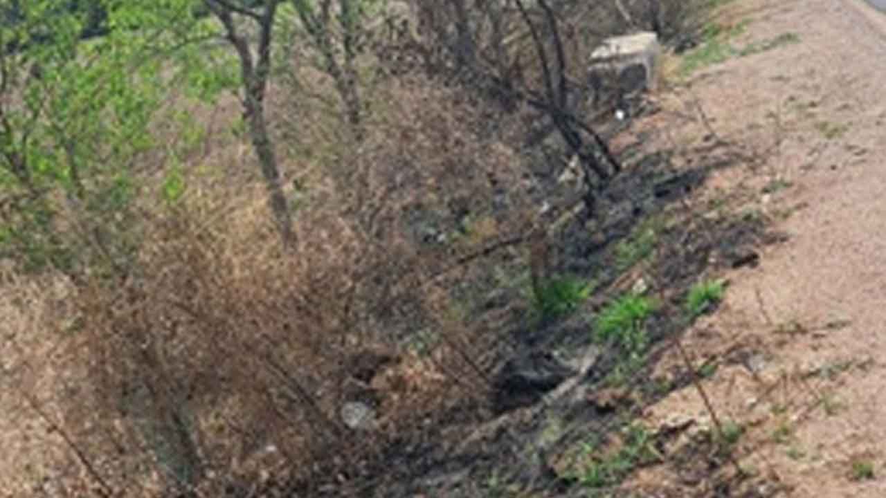 Avenue Plantations | మోడువారుతున్న అవెన్యూ ప్లాంటేషన్లు.. పట్టించుకోని యంత్రాంగం