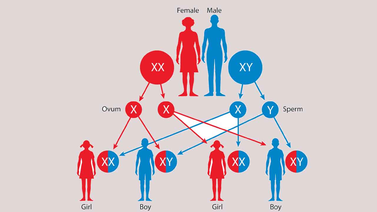 బిడ్డ.. ఆడా? మగా? తెలియట్లేదు!