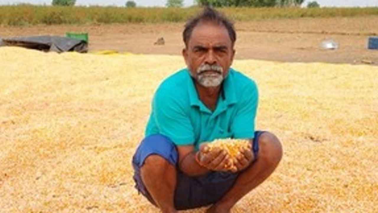 Nallabelli | నల్లబెల్లి మండలంలో గాలివాన బీభత్సం.. దెబ్బతిన్న పంటలు