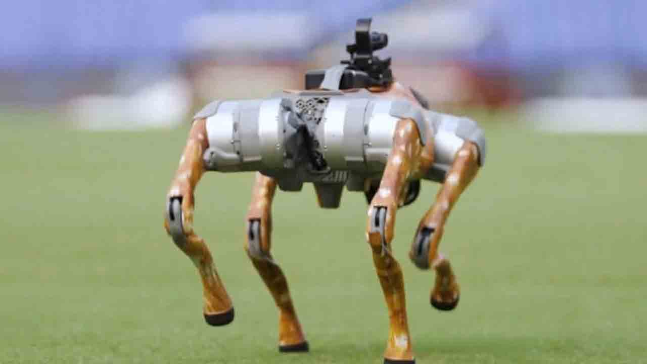 Robotic Dog