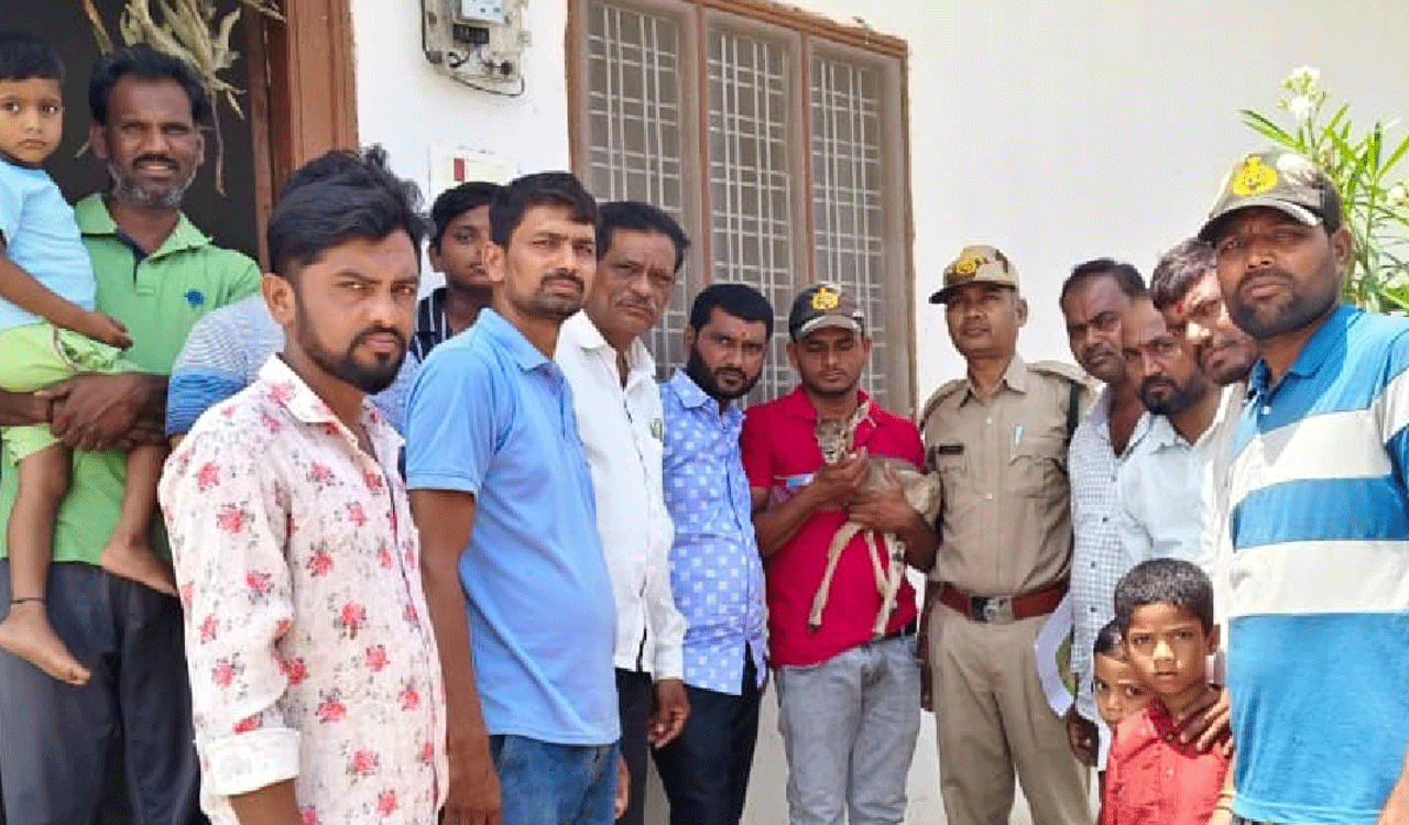 Nizamabad | జింకపిల్ల ను ఫారెస్ట్ ఆఫీసర్లకు అప్పగింత