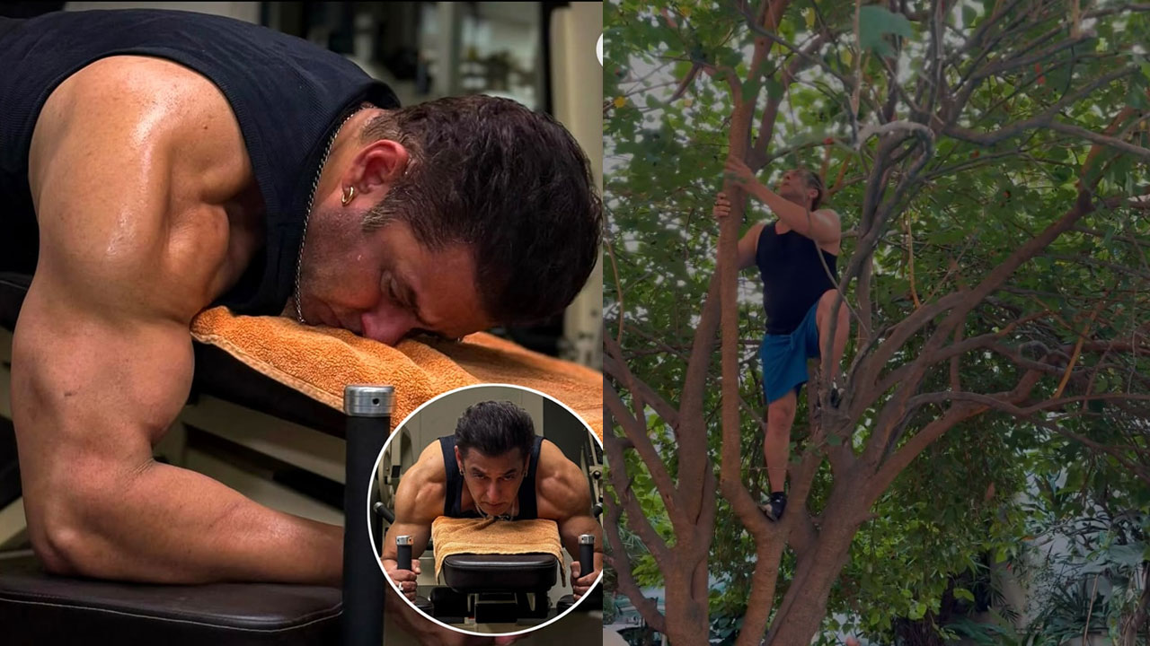 Salaman Khan | స‌ల్మాన్ ఖాన్‌పై నెటిజ‌న్స్ ట్రోలింగ్‌.. మొన్న చెట్టేక్కాడు.. ఇప్పుడు జిమ్ చేస్తూ..