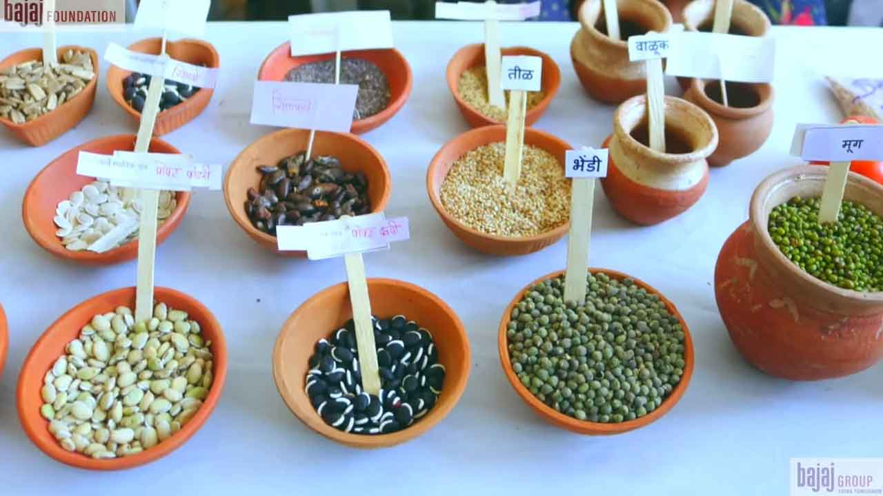 Seed Festival | ఈ నెల 4 నుంచి ది ఎర్త్ సెంటర్‌లో విత్తన పండుగ