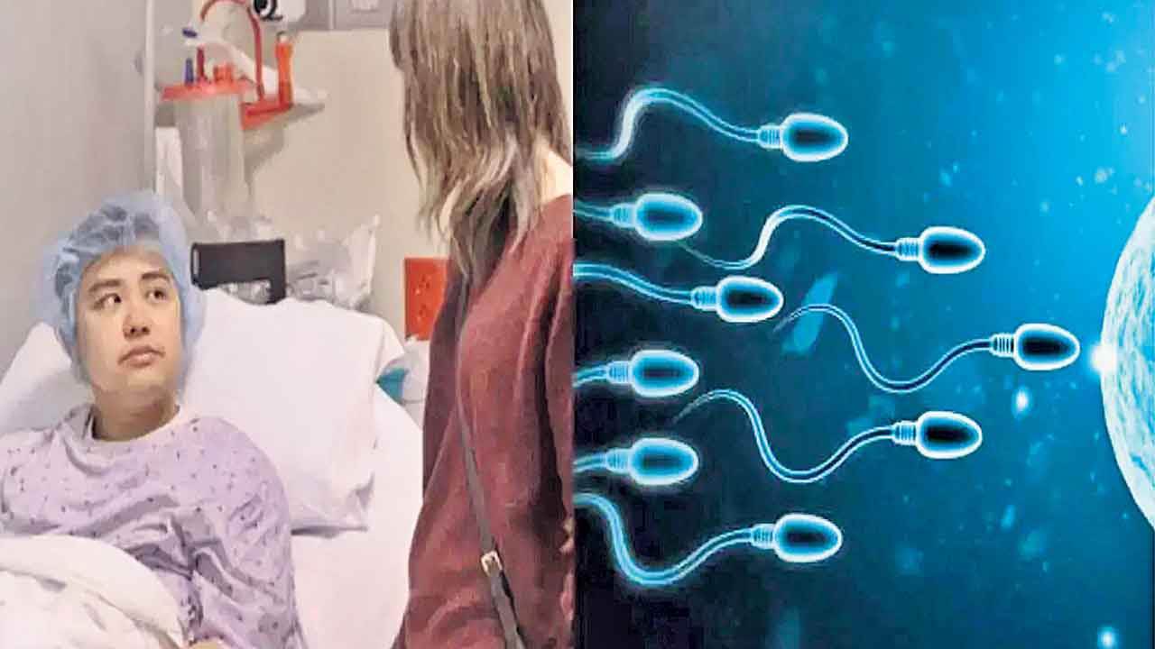 Sperm Cell Transplantation | స్పెర్మ్‌ ట్రాన్స్‌ప్లాంట్‌తో వంధ్యత్వానికి చెక్‌!