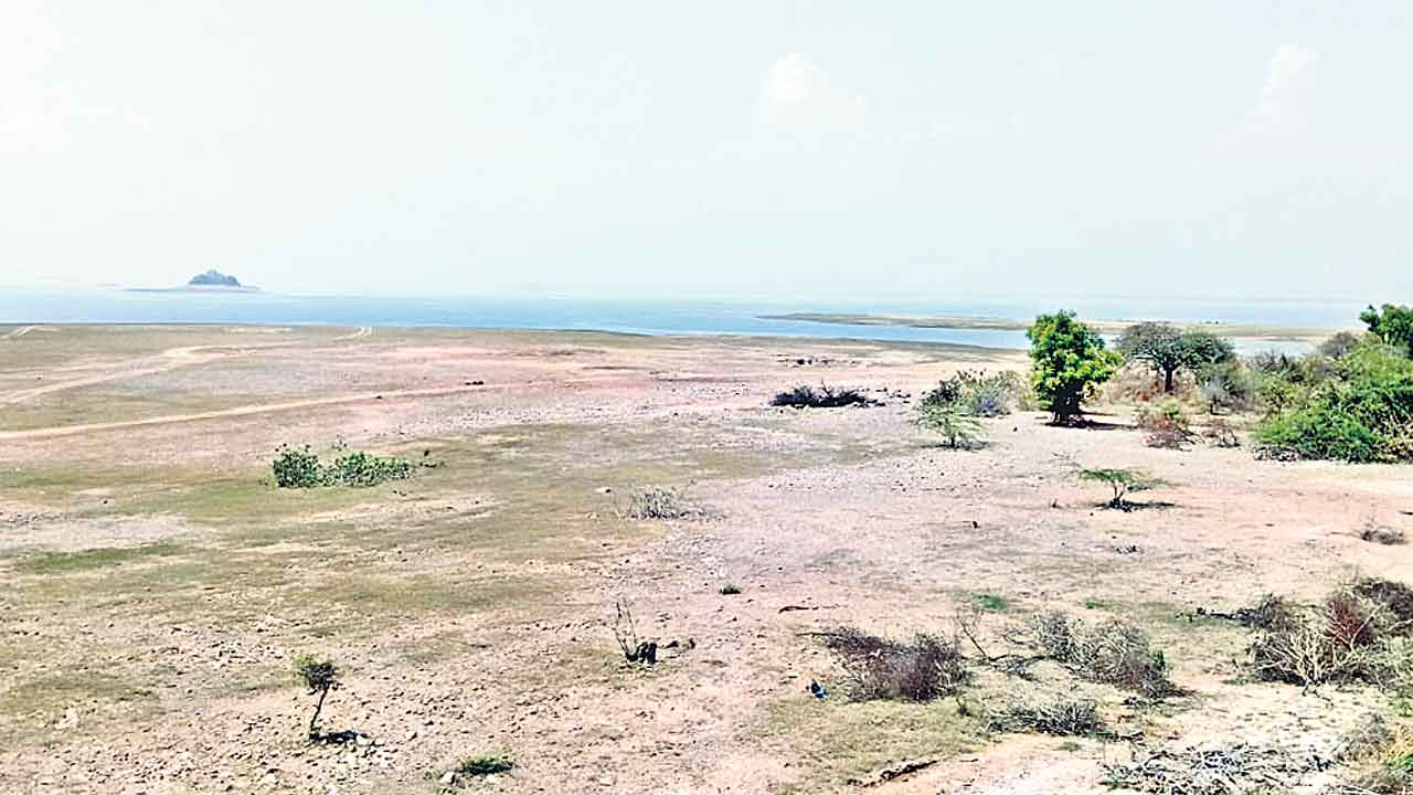 ఎడారిలా ఎస్సారెస్పీ!