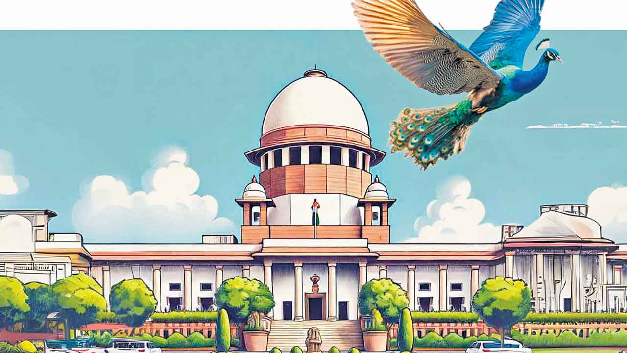 Supreme Court | అడవిని పునరుద్ధరిస్తరా? జైలుకెళ్తరా?.. కంచగచ్చిబౌలి భూముల్లో హరిత విధ్వంసంపై సుప్రీంకోర్టు నిప్పులు