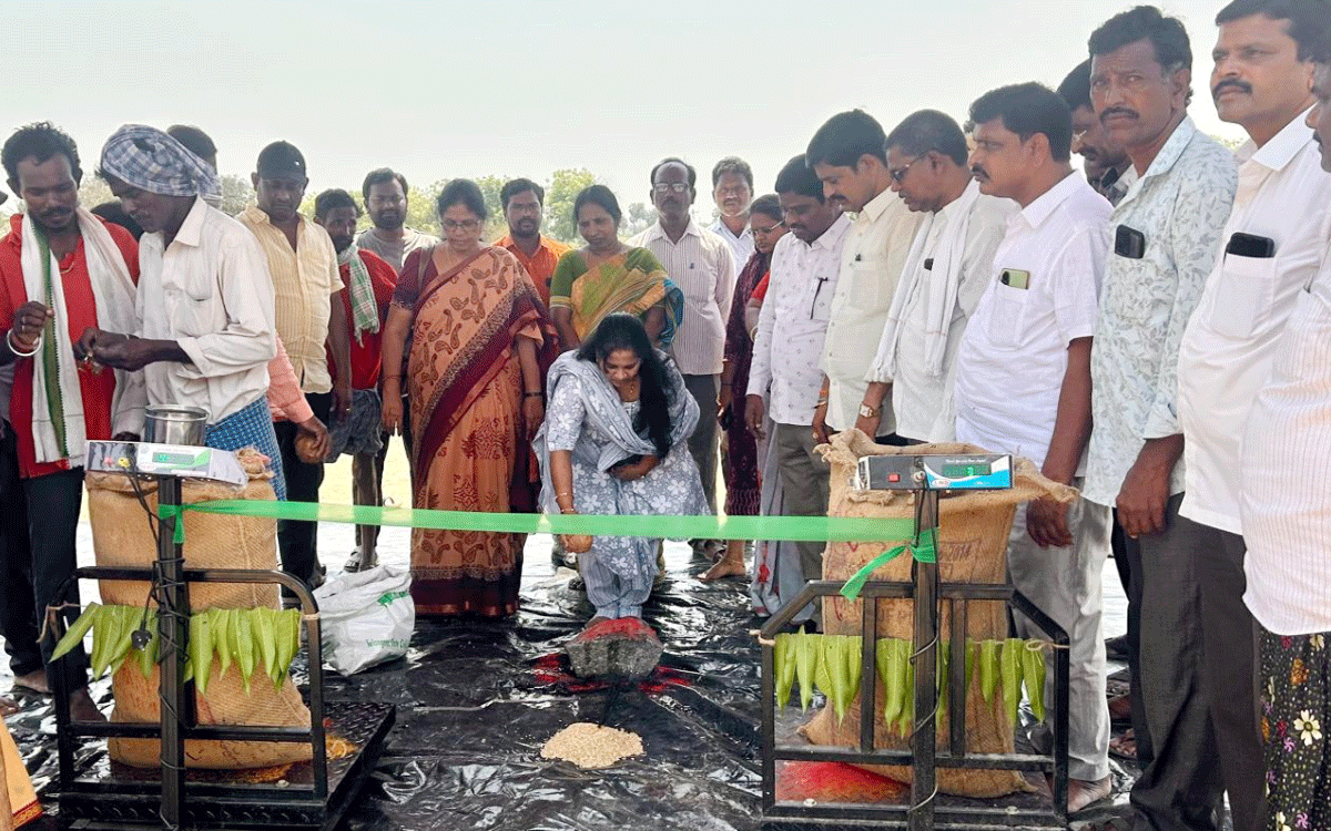 Chandur : నాణ్య‌మైన ధాన్యం తెచ్చి ప్ర‌భుత్వ మ‌ద్ద‌తు ధ‌ర పొందాలి : కోడి సుష్మ‌