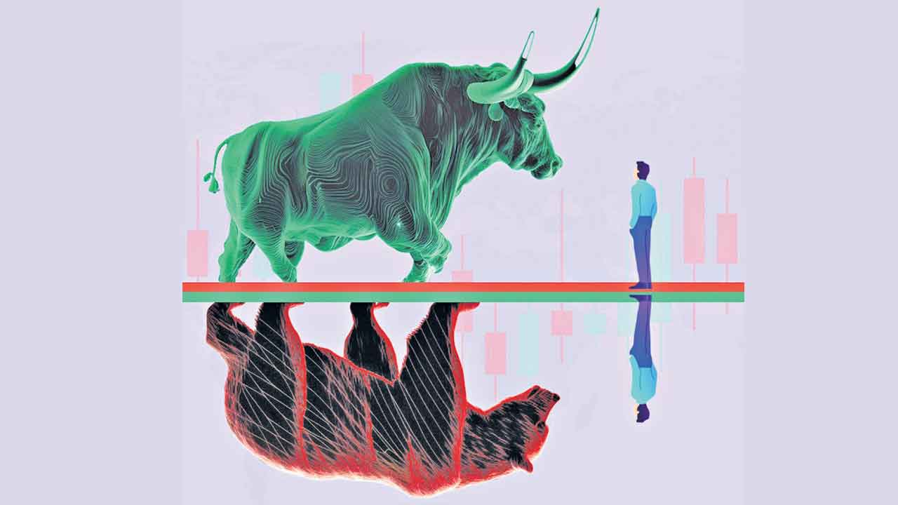 Domestic stock markets