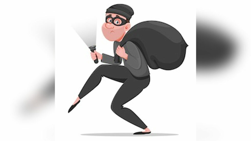 Thieves