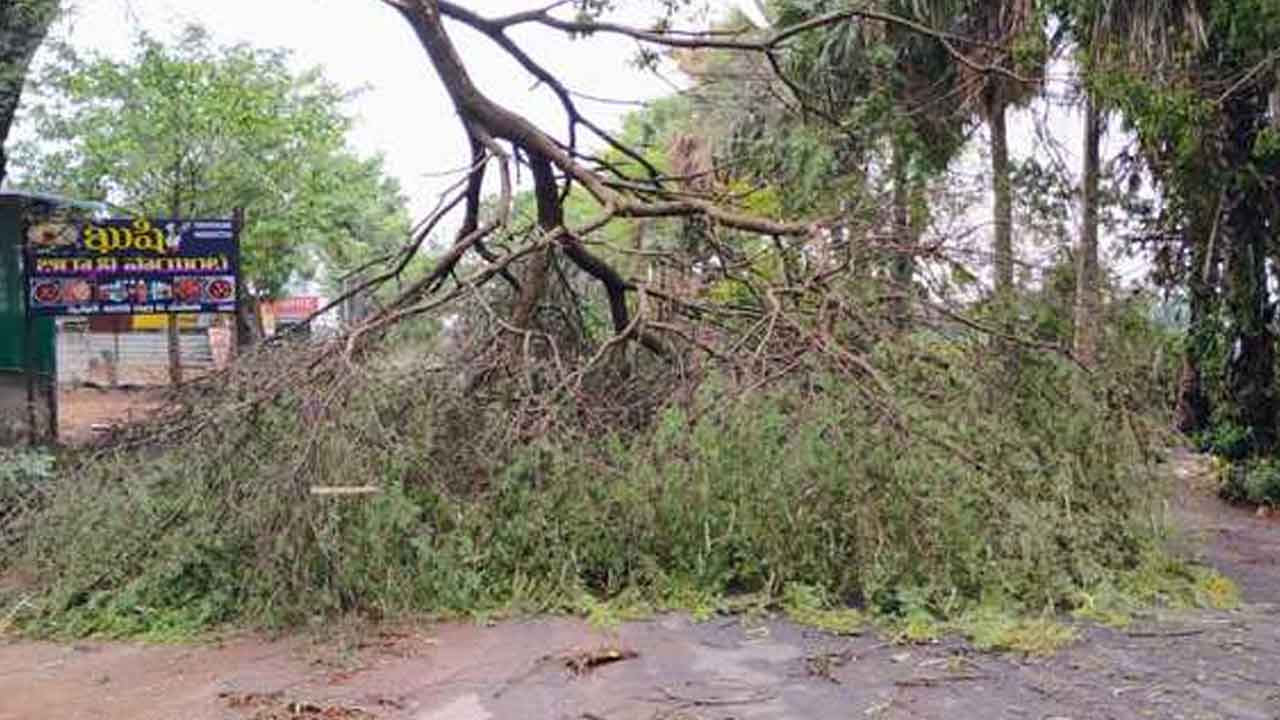 Chennaraopet | అర్ధరాత్రి గాలి వాన.. అతలాకుతలమైన అన్నదాత